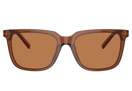 Giorgio Armani AR 8202U 6049/73 55