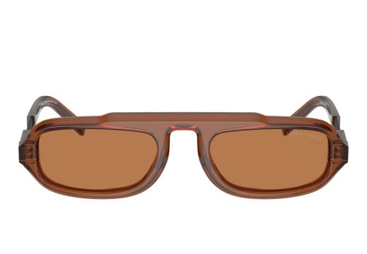 Giorgio Armani AR 8203 6049/73 51