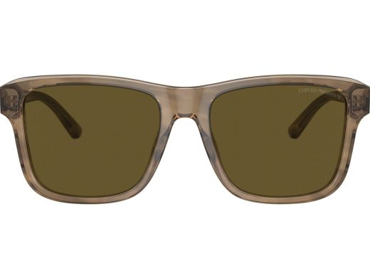 Emporio Armani EA 4208 6055/73 56