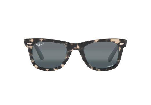 Ray Ban RB 2140 1333/G6 50