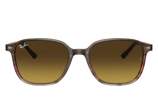 Ray Ban RB 2193 1380/85 53