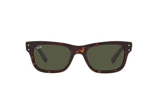 Ray Ban RB 2283 902/31 55