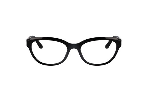 Dolce & Gabbana DG 3342 501 55
