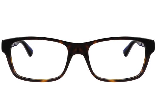 Gucci GG 0006ON 007 55