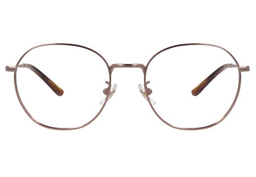 Ray-Ban RX 8778D 1245 52